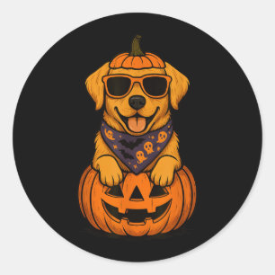 Griezelige Gele Labrador Retriever Pompoen Hallowe Ronde Sticker