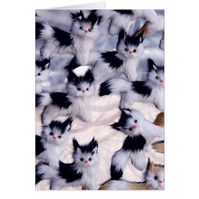 griezelige katten (Voorkant)