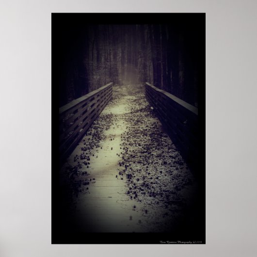 Griezelige Nevelige Wandelbrug Poster (Voorkant)