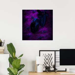 Griezelige Zwarte Materiële Roos, Zwarte Spinnen Poster