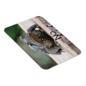 Griezige Oude Pad op een Stomp Magneet (Rechterzijde)