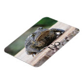 Griezige Oude Pad op een Stomp Magneet (Linkerzijde)