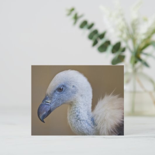 Griff Postkaart (Staand voorkant)