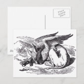 Griffin Briefkaart (Voorkant / Achterkant)