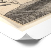  Griffin Griekse mythologie botany Poster (Hoek)