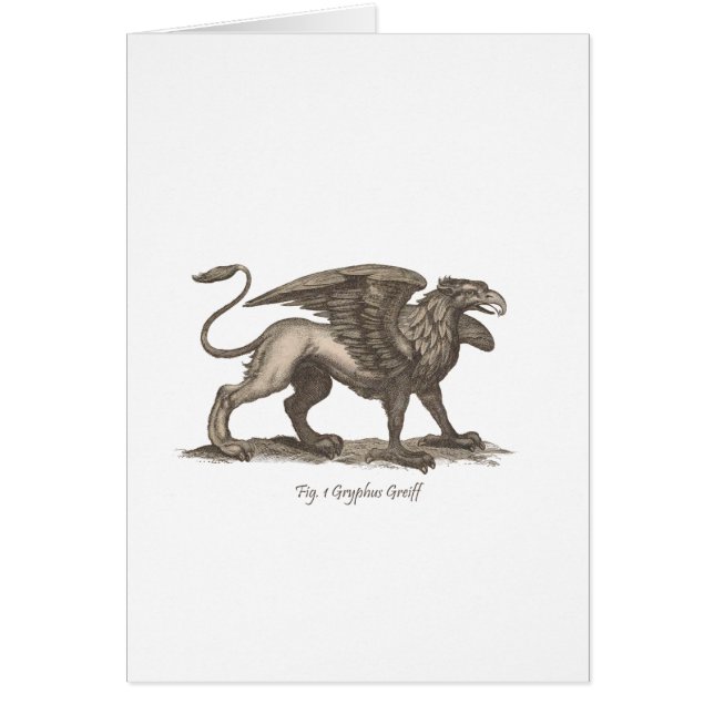  griffin ( gryphus greiff ) illustratie . (Voorkant)