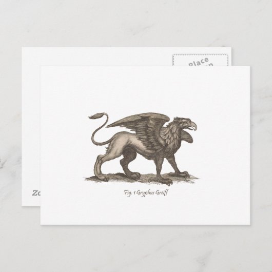  griffin ( gryphus greiff ) illustratie . briefkaart (Voorkant / Achterkant)
