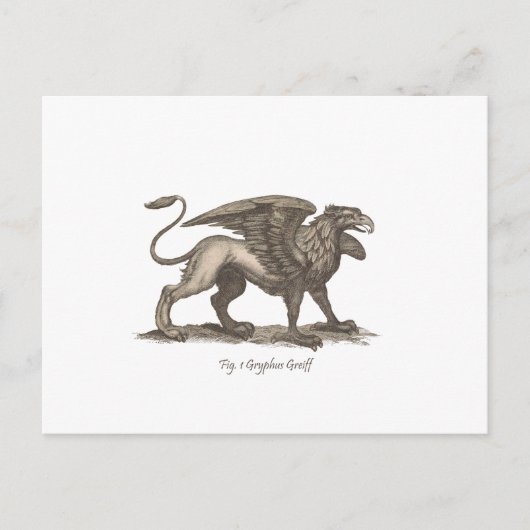  griffin ( gryphus greiff ) illustratie . briefkaart (Voorkant)