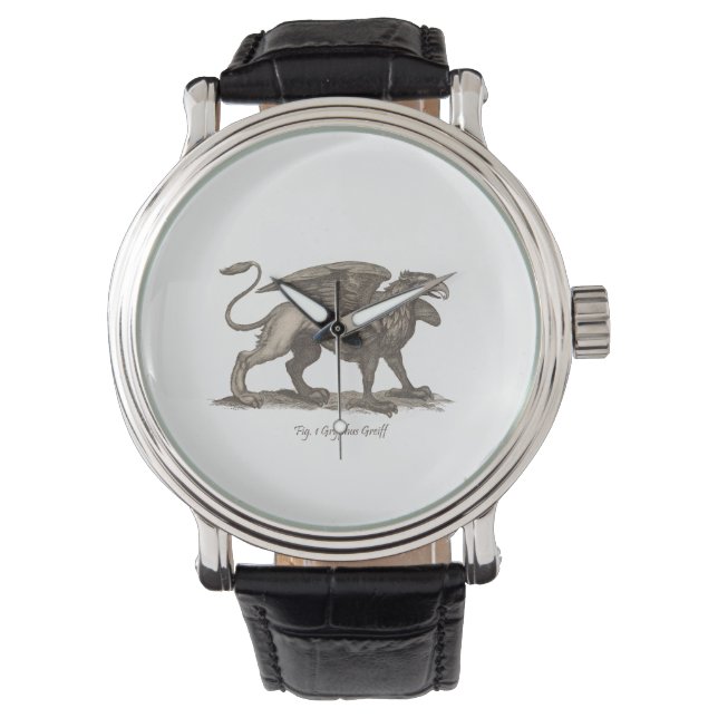  griffin ( gryphus greiff ) illustratie . horloge (Voorkant)