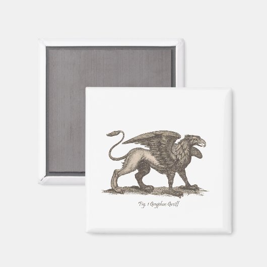  griffin ( gryphus greiff ) illustratie . magneet (Voorkant / Achterkant)