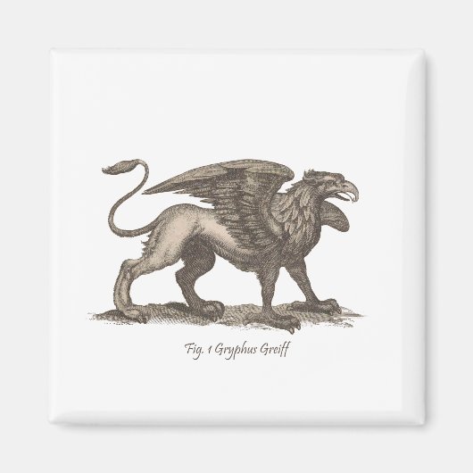  griffin ( gryphus greiff ) illustratie . magneet (Voorkant)