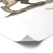 griffin ( gryphus greiff ) illustratie . poster (Hoek)