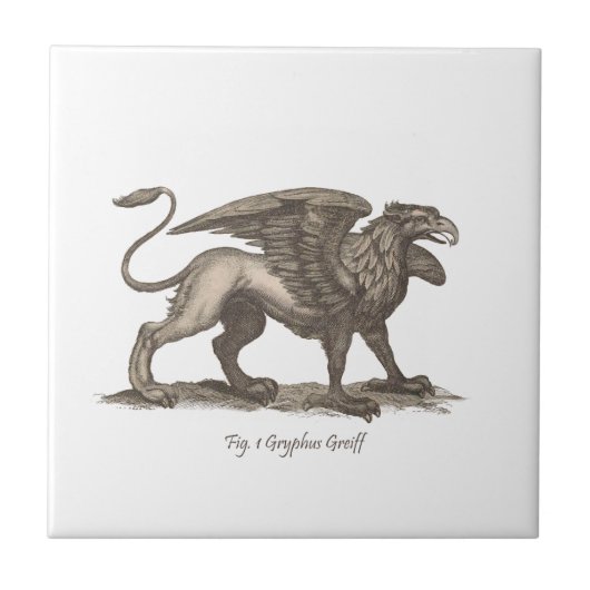  griffin ( gryphus greiff ) illustratie . tegeltje (Voorkant)