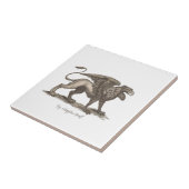  griffin ( gryphus greiff ) illustratie . tegeltje (Zijkant)