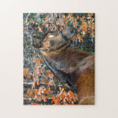 Griffin Legpuzzel (Verticaal)