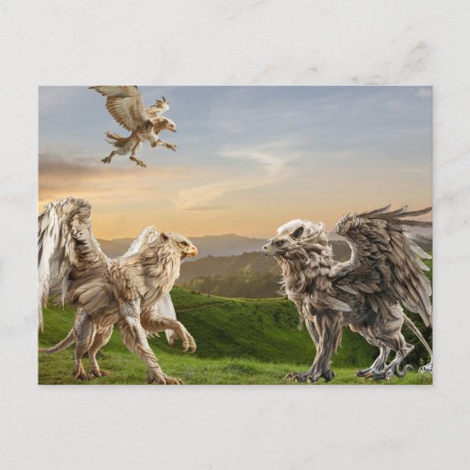 Griffin-mythologie Briefkaart (Voorkant)