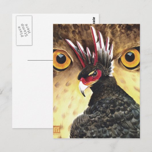 Griffin Sight Kaart Art (Voorkant / Achterkant)