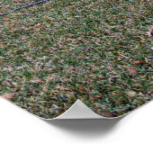 Griffith Park House Poster (Hoek)