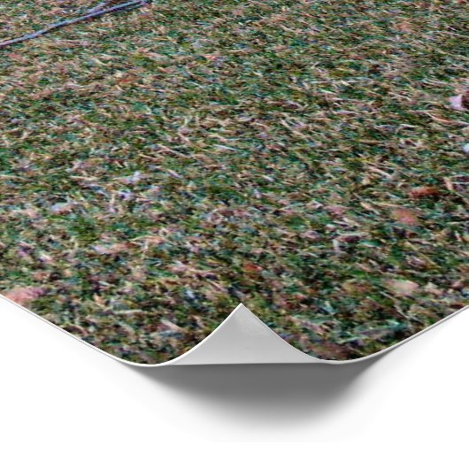 Griffith Park House Poster (Hoek)