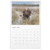 Griffologie 2024! kalender (Mar 2027)
