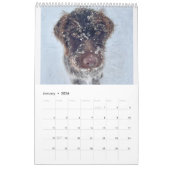 Griffologie 2024! kalender (Jan 2026)