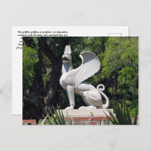 Griffon BRIEFKAART (Voorkant / Achterkant)