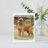 Griffon Bruxellois 9Y406D-078 Briefkaart (Staand voorkant)