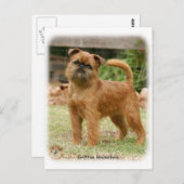 Griffon Bruxellois 9Y406D-078 Briefkaart (Voorkant / Achterkant)