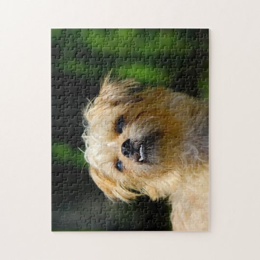 Griffon Dog Jigsaws. Legpuzzel (Verticaal)