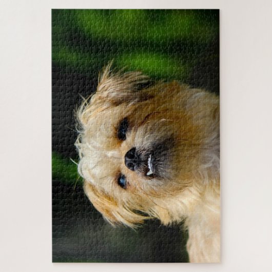 Griffon Dog Jigsaws. Legpuzzel (Verticaal)