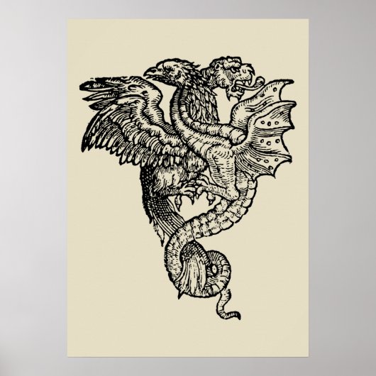 Griffon en Dragon Poster (Voorkant)