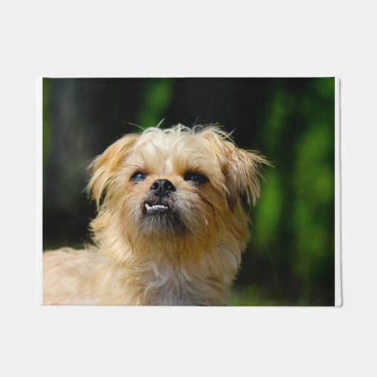 Griffon hond deurmat (Voorkant)