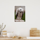Griffon Vulture, Blink Poster niet (Keuken)