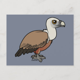 Griffon Vulture Briefkaart