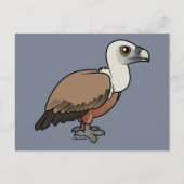 Griffon Vulture Briefkaart (Voorkant)