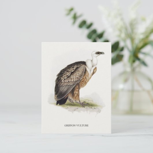 Griffon Vulture Briefkaart (Staand voorkant)