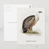 Griffon Vulture Briefkaart (Voorkant / Achterkant)