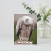 Griffon Vulture, Briefkaart "Niet verbreken" (Staand voorkant)