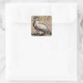 Griffon Vulture Sticker (Tas)
