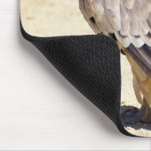 Griffongier op briefkaart-kaneel muismat (Hoek)