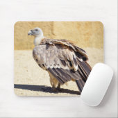 Griffongier op briefkaart-kaneel muismat (Met muis)