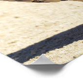 Griffongier op briefkaart-kaneel poster (Hoek)