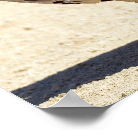 Griffongier op briefkaart-kaneel poster (Hoek)