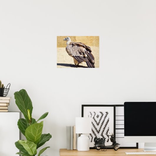 Griffongier op briefkaart-kaneel poster (Thuiskantoor)