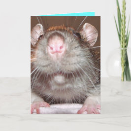grijnzende rat Verjaardagskaart Kaart