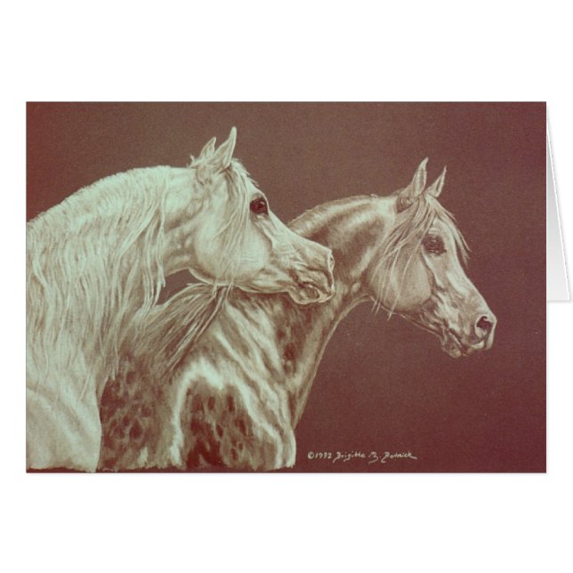 Grijs (Voorkant Horizontaal)