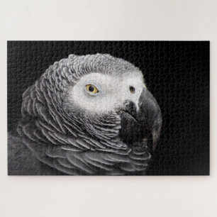 Grijs Afrikaanse papegaai Legpuzzel