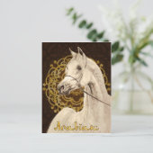 Grijs Arabisch briefkaart (Staand voorkant)