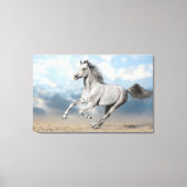 Grijs Arabisch paard galoppeert door zandlandschap Canvas Afdruk (Voorkant)