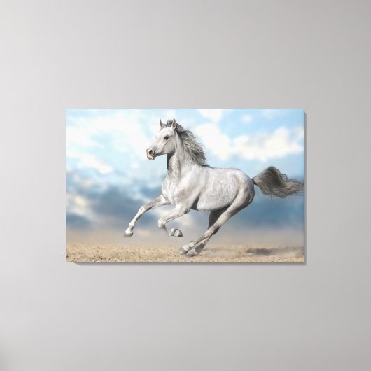 Grijs Arabisch paard galoppeert door zandlandschap Canvas Afdruk (Voorkant)